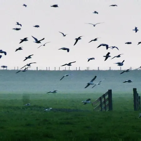 דירה Lekerweg 32 *