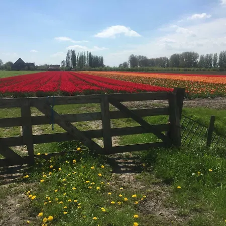 Lekerweg 32 Daire *