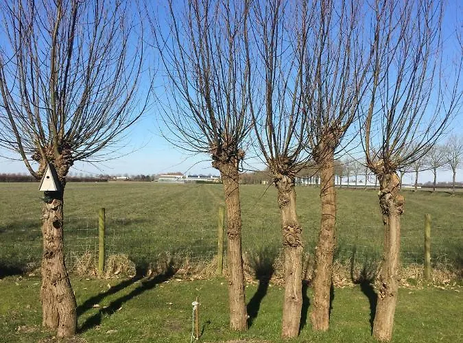 Lekerweg 32 דירה