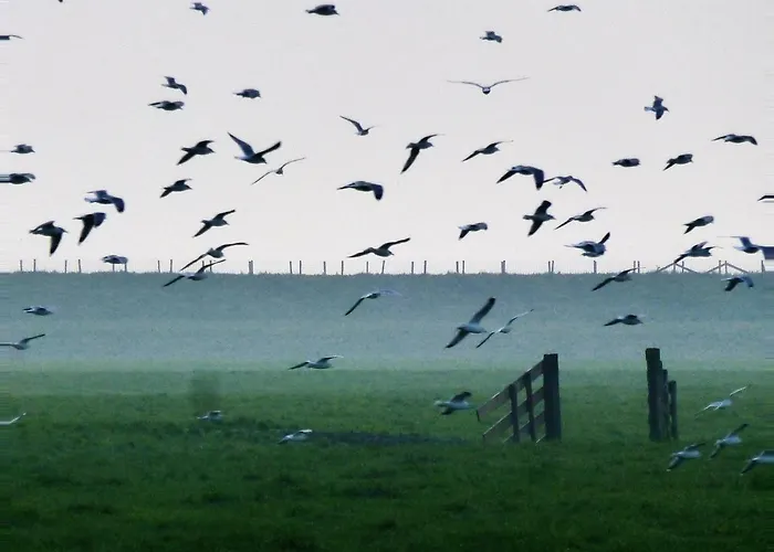 דירה Lekerweg 32 *