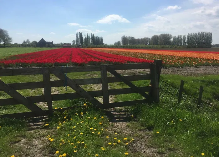 Lekerweg 32 דירה *